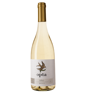 OPTA Branco '23
